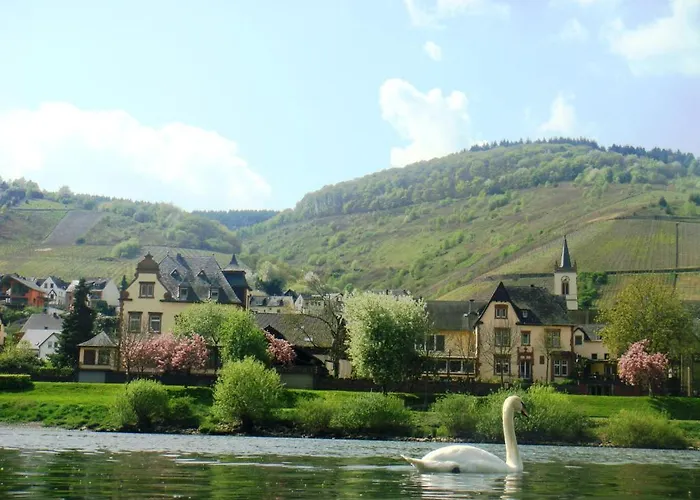 Boutique Melsheimer Hotel